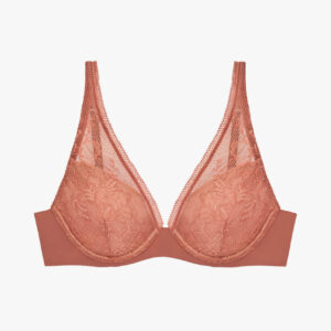 The Lace Plunge Bra